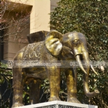 铸铜动物雕塑大象铜雕